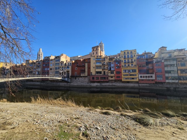 20260224_101352.jpg
